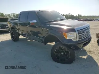 2010 Ford F-150 XL with VIN 1FTFW1EV7AFD74218, listed as a Copart auction lot 61984735 with 173,577 mi miles and Salvage title. Bid and sale history available at DreamBid. Image 13.