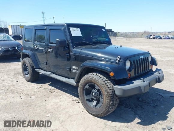 2010 Jeep Wrangler Unlimited Sahara with VIN 1J4HA5H17AL140941, listed as a IAAI auction lot 42004203 with 126,100 mi miles. Bid and sale history available at carsss.com. Image 6.