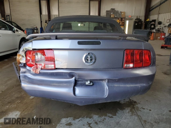 2006 Ford Mustang Standard with VIN 1ZVFT84N565111058, listed as a Copart auction lot 48254345 with Not Provided miles and Salvage Title. Bid and sale history available at carsss.com. Image 6.