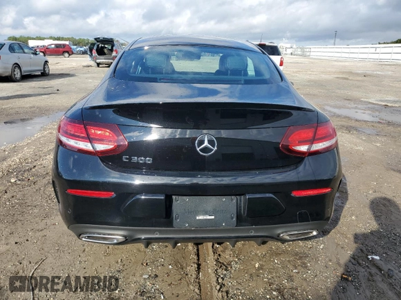 2023 Mercedes-Benz C 300 with VIN W1KWJ8DBXPG129002, listed as a Copart auction lot 84205894 with 13,525 mi miles and Salvage Title. Bid and sale history available at DreamBid. Image 6.