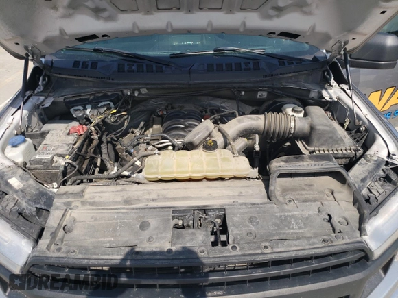 2020 Ford F-150 XL with VIN 1FTEX1C53LFC09149, listed as a Copart auction lot 53072205 with 206,991 mi miles and Clean title. Bid and sale history available at DreamBid. Image 12.