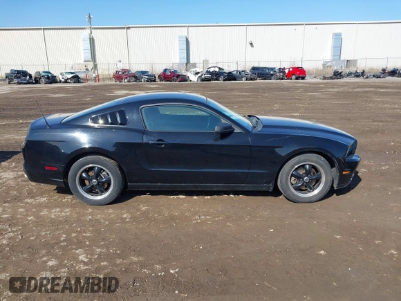 2013 Ford Mustang V6 with VIN 1ZVBP8AM3D5235860, listed as a IAAI auction lot 41778077 with 163,671 mi miles and . Bid and sale history available at DreamBid. Image 13.