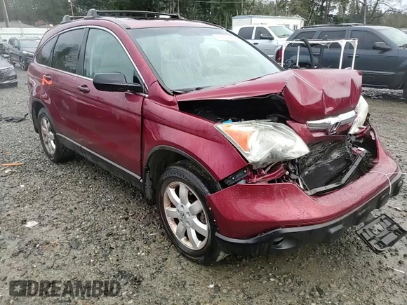 2009 Honda CR-V EX with VIN 5J6RE48539L042412, listed as a Copart auction lot 52133345 with 135,532 mi miles and Salvage Title. Bid and sale history available at carsss.com. Image 12.