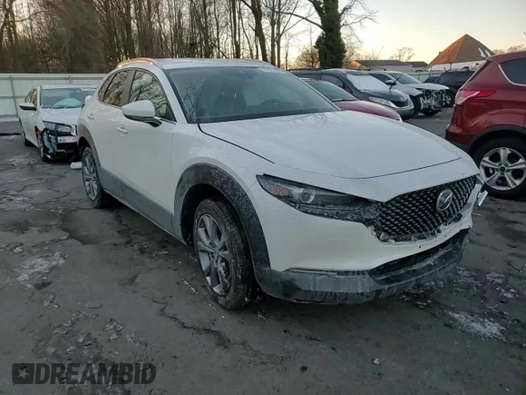 2023 Mazda CX-30 S Preferred with VIN 3MVDMBCM4PM540750, listed as a Copart auction lot 87975785 with Not provided miles and Salvage title. Bid and sale history available at DreamBid. Image 10.