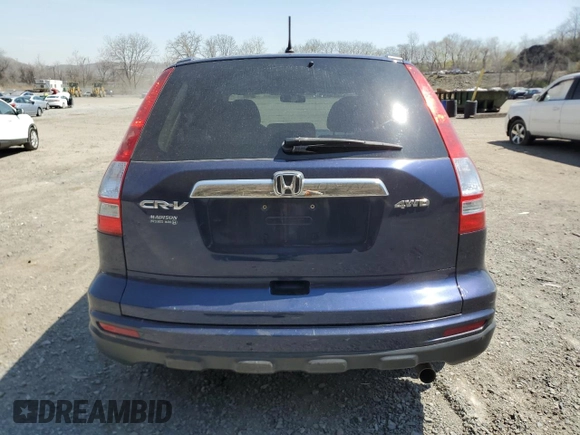 2010 Honda CR-V EX with VIN 5J6RE4H54AL016082, listed as a Copart auction lot 53850455 with 124,247 mi miles and Salvage Title. Bid and sale history available at carsss.com. Image 6.