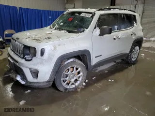 2019 Jeep Renegade Sport with VIN ZACNJBAB2KPK54544, listed as a Copart auction lot 45863495 with 0 mi miles and Salvage Title. Bid and sale history available at carsss.com. Image 1.