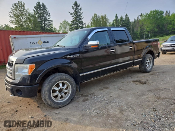 2009 Ford F-150 XL with VIN 1FTPW14V29FB29022, listed as a Copart auction lot 59518745 with 225,701 mi miles and Salvage title. Bid and sale history available at DreamBid. Image 1.