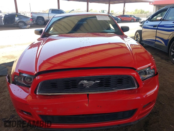 2013 Ford Mustang V6 с VIN 1ZVBP8AM4D5276112, выставлен на аукционе IAAI как лот 42543725 с пробегом Не указан миль и . История ставок и продаж доступна на DreamBid. Изображение 6.