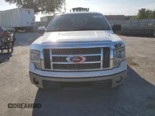 2010 Ford F-150 XL with VIN 1FTFW1CV0AKA38257, listed as a Copart auction lot 51028685 with 189,939 mi miles and Salvage Title. Bid and sale history available at carsss.com. Image 5.