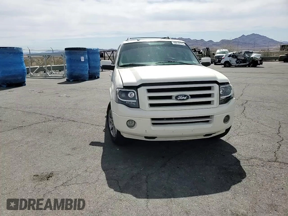 2007 Ford Expedition Limited with VIN 1FMFU19577LA87600, listed as a Copart auction lot 49818775 with 191,845 mi miles and Salvage Title. Bid and sale history available at carsss.com. Image 12.