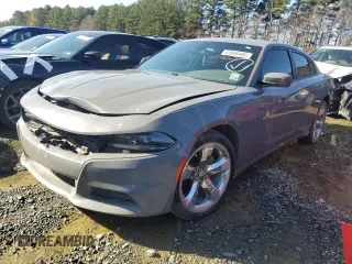 2019 Dodge Charger SXT with VIN 2C3CDXBG8KH674663, listed as a Copart auction lot 41856485 with 163,114 mi miles and Salvage Title. Bid and sale history available at carsss.com. Image 1.