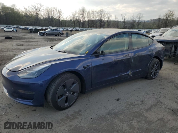 2023 Tesla Model 3 with VIN 5YJ3E1EA0PF550980, listed as a Copart auction lot 53725485 with 23,900 mi miles and Salvage Title. Bid and sale history available at carsss.com. Image 1.