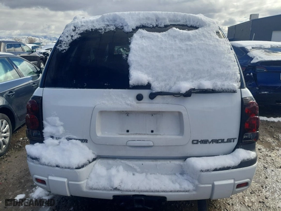 2002 Chevrolet TrailBlazer LS with VIN 1GNDT13S122276844, listed as a Copart auction lot 48006595 with 92,434 mi miles and Salvage Title. Bid and sale history available at carsss.com. Image 6.