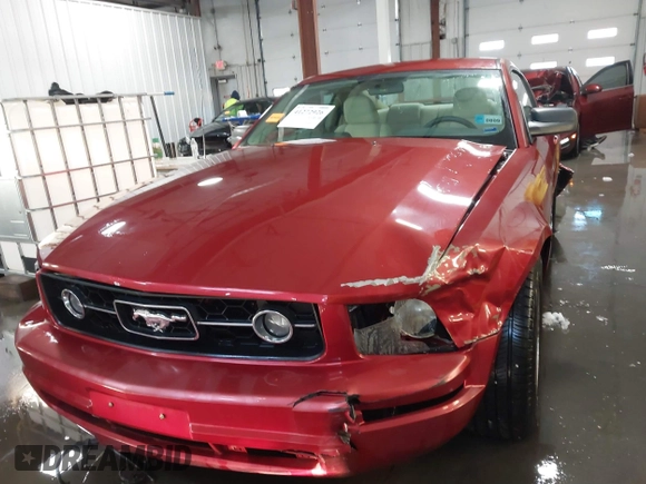 2006 Ford Mustang Standard with VIN 1ZVHT80N865227465, listed as a IAAI auction lot 41272926 with 134,695 mi miles. Bid and sale history available at carsss.com. Image 13.