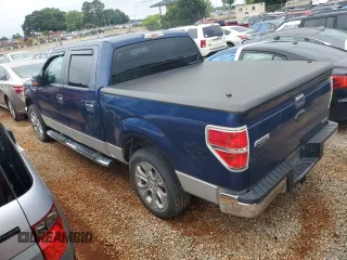 2011 Ford F-150 XL with VIN 1FTEW1CM4BFB31408, listed as a Copart auction lot 55644505 with 181,809 mi miles and Salvage title. Bid and sale history available at DreamBid. Image 2.