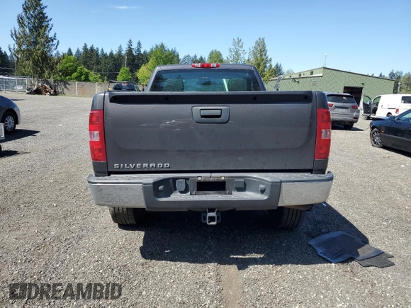 2010 Chevrolet Silverado 1500 Work Truck with VIN 1GCPCPEX1AZ202279, listed as a Copart auction lot 55144475 with 74,977 mi miles and Salvage Title. Bid and sale history available at DreamBid. Image 6.