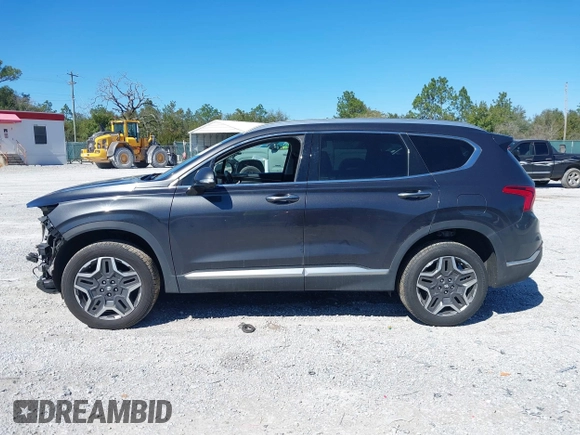2021 Hyundai Santa Fe Limited with VIN 5NMS4DAL5MH367026, listed as a IAAI auction lot 41565093 with 120,246 mi miles. Bid and sale history available at carsss.com. Image 14.