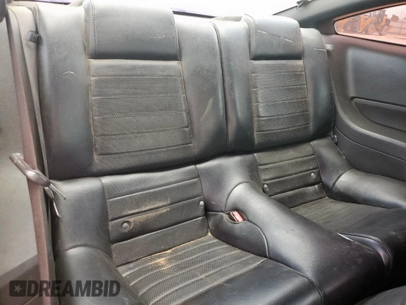 2007 Ford Mustang GT Deluxe with VIN 1ZVFT82HX75230089, listed as a Copart auction lot 61859805 with 209,552 mi miles and Salvage title. Bid and sale history available at DreamBid. Image 10.