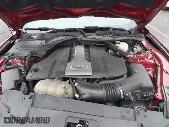 2019 Ford Mustang GT with VIN 1FA6P8CF8K5172826, listed as a IAAI auction lot 41711529 with 41,184 mi miles. Bid and sale history available at carsss.com. Image 10.
