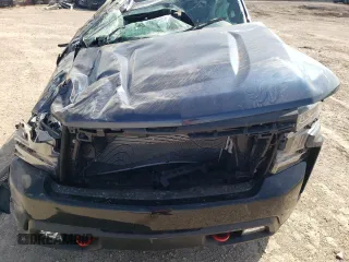 2022 Chevrolet Silverado 1500 LT Trail Boss with VIN 1GCPYFED6NZ124279, listed as a Copart auction lot 50719545 with Not Provided miles and Salvage Title. Bid and sale history available at DreamBid. Image 11.