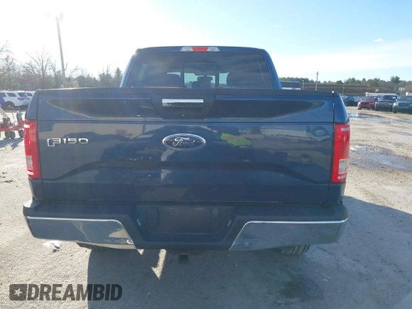 2017 Ford F-150 XL with VIN 1FTEW1EG4HFC74410, listed as a IAAI auction lot 41209807 with 52,238 mi miles. Bid and sale history available at carsss.com. Image 16.