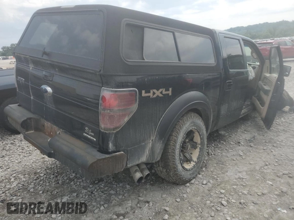 2011 Ford F-150 XL with VIN 1FTFW1EFXBFD41577, listed as a Copart auction lot 58650365 with 306,165 mi miles and Salvage title. Bid and sale history available at DreamBid. Image 3.