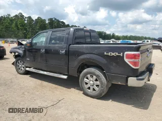 2013 Ford F-150 XL with VIN 1FTFW1ET6DKG18953, listed as a Copart auction lot 59873935 with Not provided miles and Salvage title. Bid and sale history available at DreamBid. Image 2.