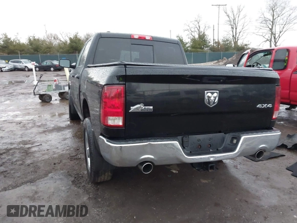 2013 Ram 1500 Outdoorsman with VIN 1C6RR7LT6DS599709, listed as a IAAI auction lot 41670374 with 109,203 mi miles. Bid and sale history available at carsss.com. Image 3.