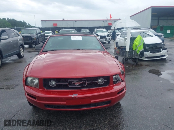 2008 Ford Mustang Deluxe with VIN 1ZVHT84N885121272, listed as a IAAI auction lot 42220813 with 137,152 mi miles and . Bid and sale history available at DreamBid. Image 12.