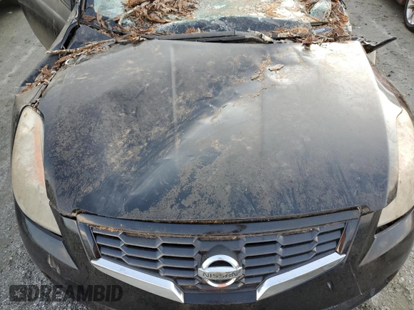 2009 Nissan Altima 2.5 S with VIN 1N4AL24E39C190746, listed as a Copart auction lot 80168364 with 0 mi miles and Salvage Title. Bid and sale history available at carsss.com. Image 11.
