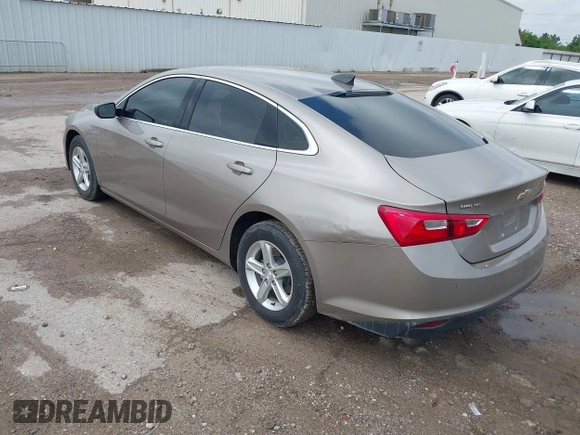 2024 Chevrolet Malibu LS with VIN 1G1ZB5ST7RF116448, listed as a IAAI auction lot 42212025 with 38,724 mi miles and . Bid and sale history available at carsss.com. Image 3.