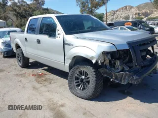 2009 Ford F-150 XL z VIN 1FTRW14859FA97539, wystawiony jako IAAI lot #42027130 z przebiegiem 97 560 mil mil oraz . Historia ofert i sprzedaży dostępna na DreamBid. Obrazek 1.