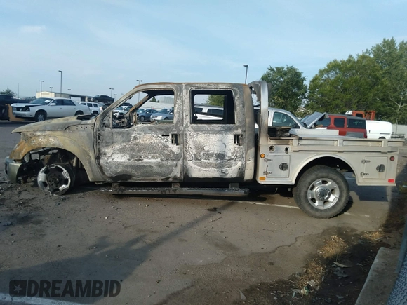 2011 Ford F-250 XL with VIN 1FT7W2BT6BEC68413, listed as a IAAI auction lot 37255222 with Not provided miles and . Bid and sale history available at DreamBid. Image 3.
