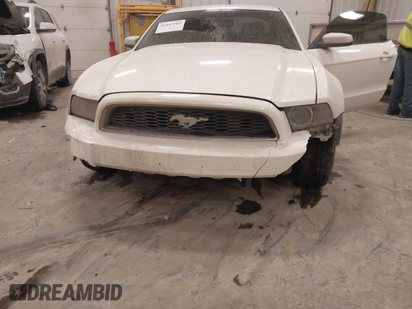 2013 Ford Mustang V6 with VIN 1ZVBP8AM0D5281131, listed as a IAAI auction lot 41447563 with 119,820 mi miles. Bid and sale history available at carsss.com. Image 6.