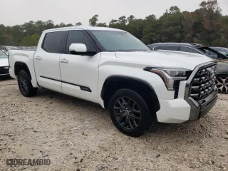 2022 Toyota Tundra 2WD Platinum with VIN 5TFNA5AB6NX003726, listed as a Copart auction lot 69110202 with 5,665 mi miles. Bid and sale history available at carsss.com. Image 4.