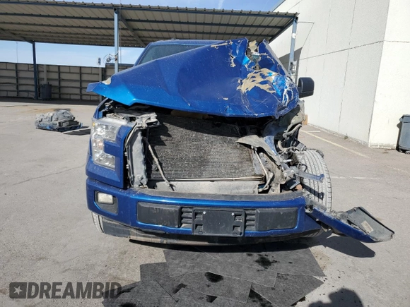2017 Ford F-150 XL with VIN 1FTEX1CF9HKE55808, listed as a Copart auction lot 49308685 with 174,032 mi miles and Salvage Title. Bid and sale history available at carsss.com. Image 5.