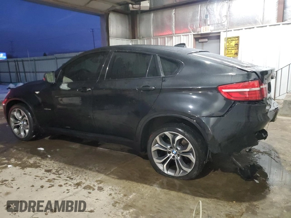 2013 BMW X6 xDrive50i with VIN 5UXFG8C52DL591320, listed as a Copart auction lot 85690334 with 0 mi miles and Salvage Title. Bid and sale history available at carsss.com. Image 2.