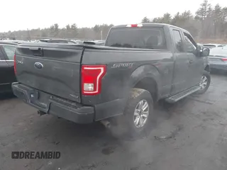 2017 Ford F-150 XL with VIN 1FTEX1E89HKD96516, listed as a IAAI auction lot 41609804 with 166,019 mi miles. Bid and sale history available at carsss.com. Image 4.