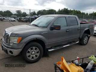2010 Ford F-150 XL with VIN 1FTFW1EVXAFB19577, listed as a Copart auction lot 63401725 with 219,642 mi miles and Clean title. Bid and sale history available at DreamBid. Image 1.