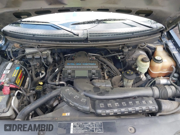 2005 Ford F-150 XLT with VIN 1FTPX125X5NA97503, listed as a IAAI auction lot 42458999 with 270,223 mi miles and . Bid and sale history available at DreamBid. Image 10.
