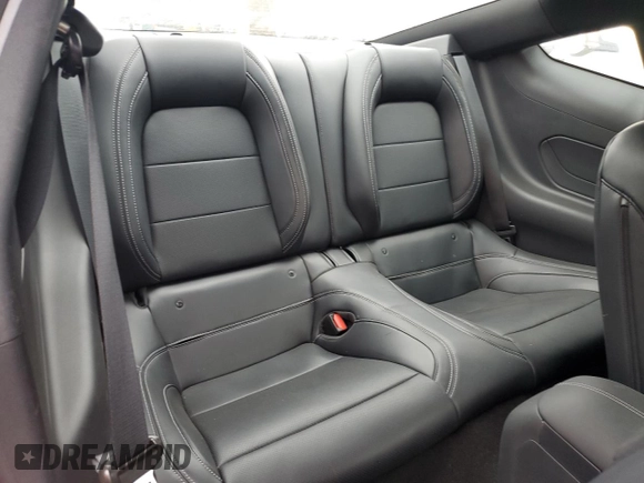 2024 Ford Mustang EcoBoost with VIN 1FA6P8TH1R5141252, listed as a Copart auction lot 62332025 with 13,621 mi miles and Clean title. Bid and sale history available at DreamBid. Image 10.
