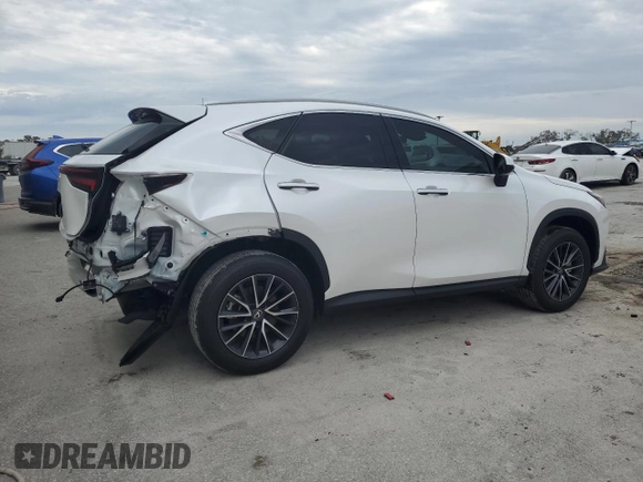 2024 Lexus NX 250 Premium with VIN 2T2GDCAZ3RC006908, listed as a Copart auction lot 88159635 with 20,109 mi miles and Salvage title. Bid and sale history available at DreamBid. Image 3.