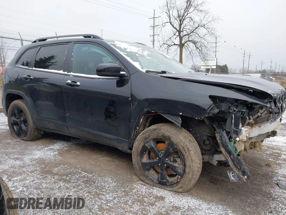 2018 Jeep Cherokee Limited with VIN 1C4PJMDX8JD530088, listed as a IAAI auction lot 41213375 with 96,210 mi miles. Bid and sale history available at carsss.com. Image 14.