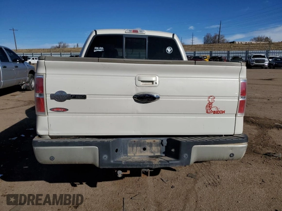 2009 Ford F-150 XL with VIN 1FTPW14V29KA73056, listed as a Copart auction lot 45048505 with 257,907 mi miles and Salvage Title. Bid and sale history available at carsss.com. Image 6.