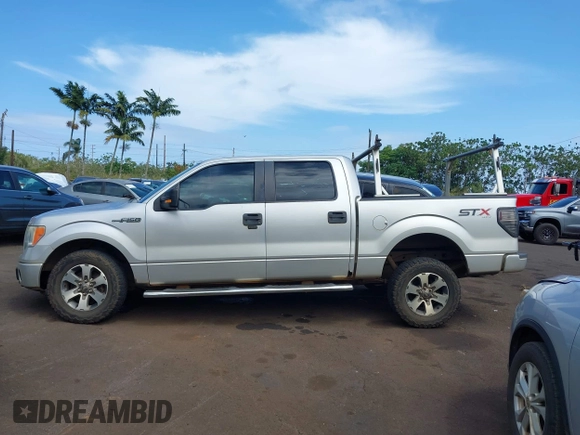 2014 Ford F-150 XL with VIN 1FTFW1EF3EFC96017, listed as a IAAI auction lot 41828150 with 113,599 mi miles. Bid and sale history available at carsss.com. Image 14.