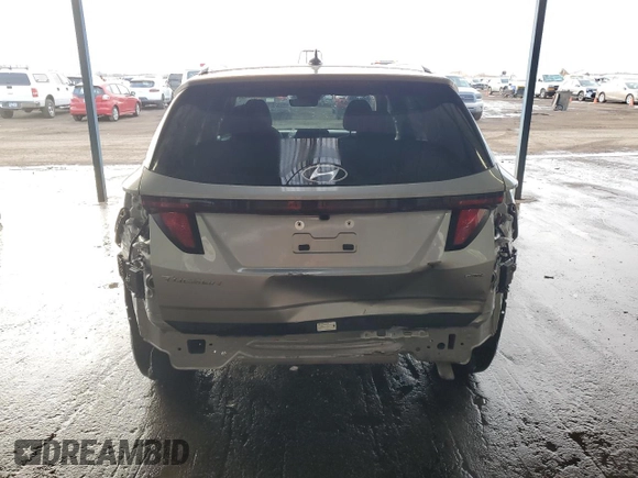 2024 Hyundai Tucson SEL with VIN 5NMJBCDE8RH339222, listed as a Copart auction lot 41909815 with 19,960 mi miles and Clean Title. Bid and sale history available at carsss.com. Image 6.