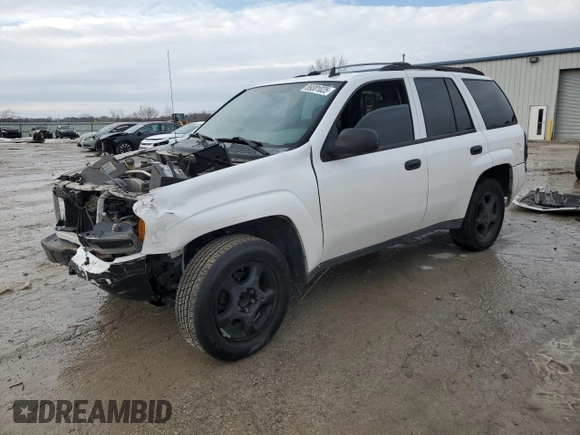 2007 Chevrolet TrailBlazer LS with VIN 1GNDS13S572165188, listed as a Copart auction lot 89381025 with Not Provided miles and Salvage Title. Bid and sale history available at DreamBid. Image 1.