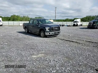 2015 Ford F-150 XLT with VIN 1FTEW1EP2FFC73690, listed as a Copart auction lot 61154355 with 145,389 mi miles and Salvage title. Bid and sale history available at DreamBid. Image 13.