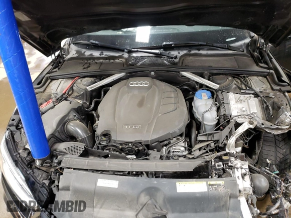 2019 Audi A5 Sportback Premium Plus with VIN WAUENCF53KA007031, listed as a Copart auction lot 43789944 with 66,169 mi miles. Bid and sale history available at carsss.com. Image 11.