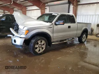 2010 Ford F-150 XL with VIN 1FTFX1EVXAFB17244, listed as a Copart auction lot 50025515 with 0 mi miles and Clean Title. Bid and sale history available at carsss.com. Image 1.
